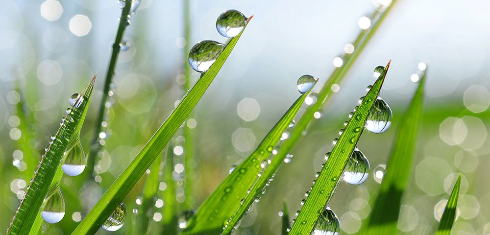 Sustainability labels on products